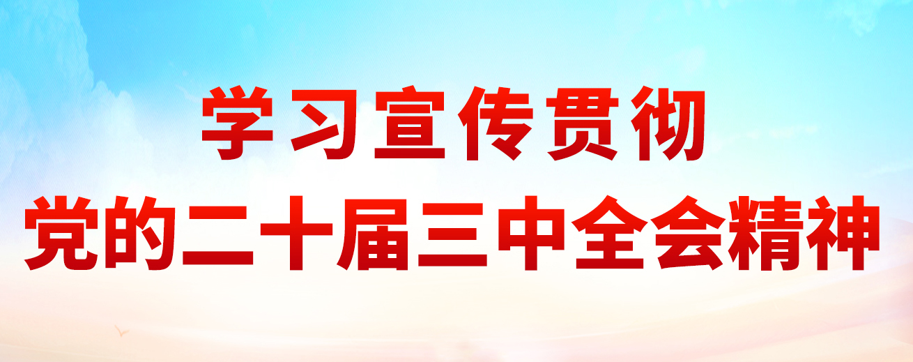 學(xué)習(xí)宣傳貫徹黨的二十屆三中全會精神